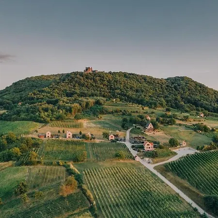 Perfect Vacation At Winery Apartament Somloszolos