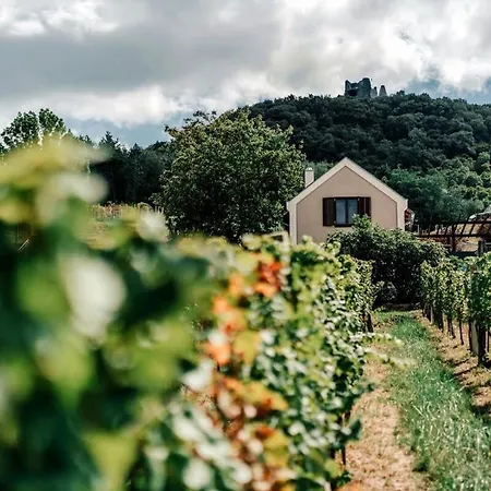 Perfect Vacation At Winery Appartement