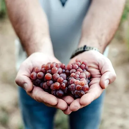 Apartament Perfect Vacation At Winery *