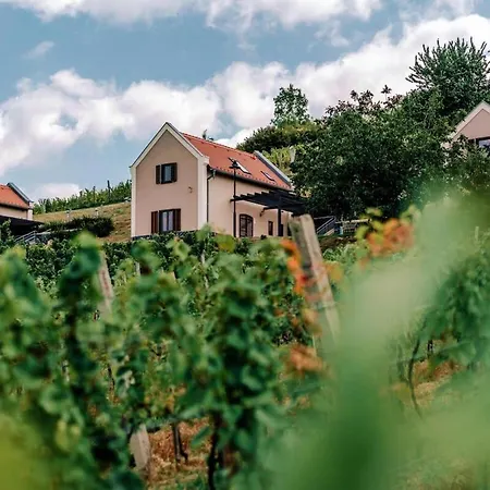 Perfect Vacation At Winery *