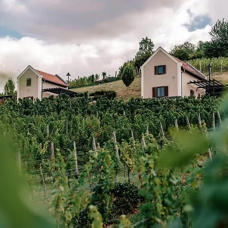 Perfect Vacation At Winery