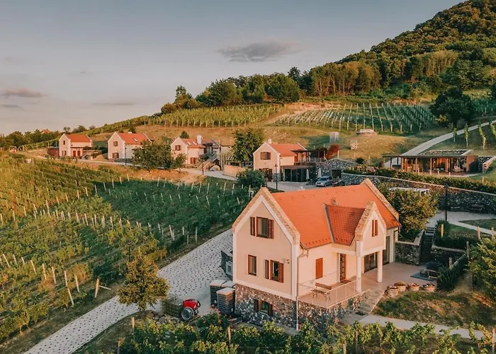 Perfect Vacation At Winery Somloszolos
