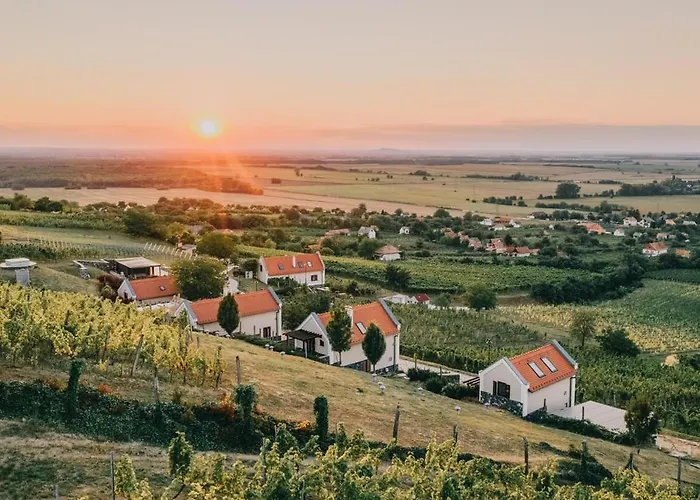 Perfect Vacation At Winery Appartamento *