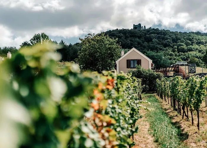 Perfect Vacation At Winery דירה