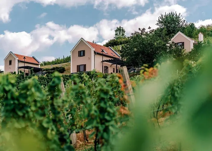 Perfect Vacation At Winery *