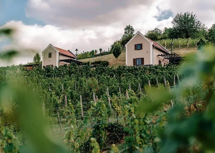 Perfect Vacation At Winery