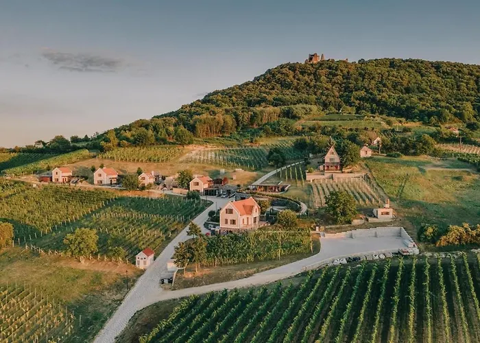 Appartement Perfect Vacation At Winery *